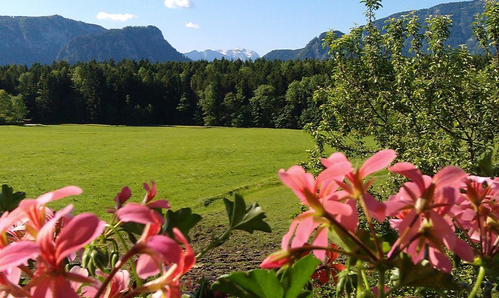 Gaestehaus Restner - Chiemgau Karte Inzell Zewnętrze zdjęcie